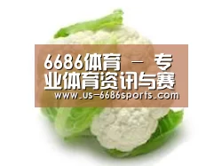 产品名称九