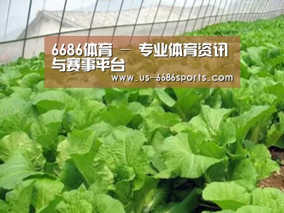 种植基地一