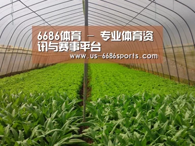 种植基地四