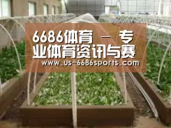 环境展示五