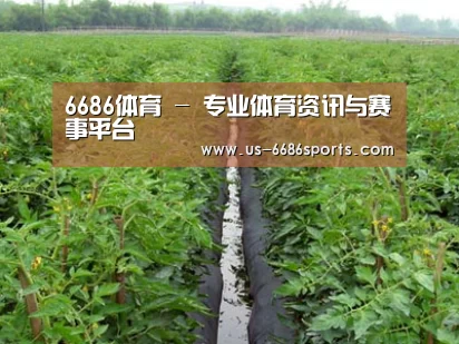 种植基地三
